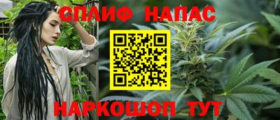 спиды Камышлов