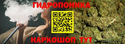 спиды Камышлов