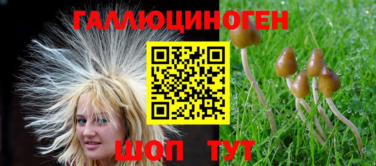 Псилоцибиновые грибы Psilocybine cubensis  Вход с VPN  купить  цена  Кушва 